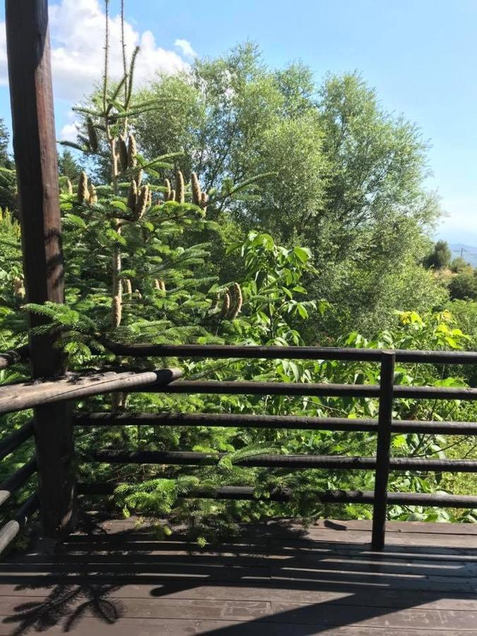 Vathyskia Guesthouse Kato Sinikia Trikalon Dış mekan fotoğraf